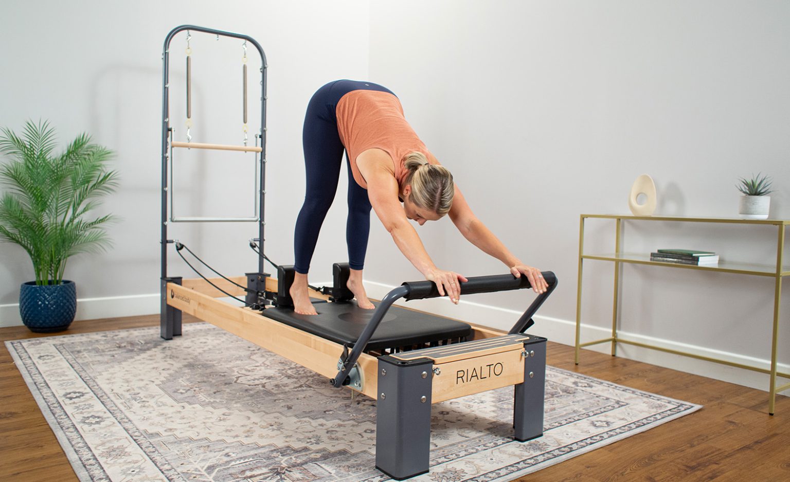 Modifications Monthly: Elephant on the Reformer elephant on the reformer modification